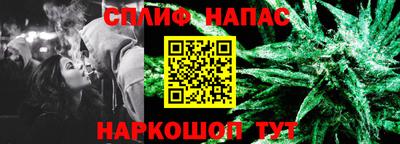прущие грибы Шахты