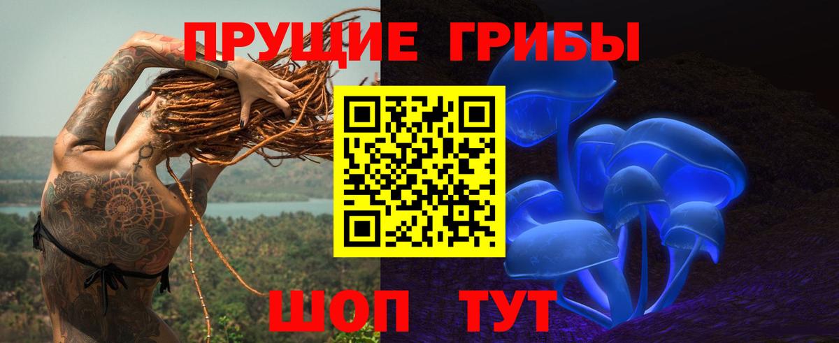 Псилоцибиновые грибы Psilocybine cubensis  Псилоцибиновые грибы мухоморы  Вход с VPN  Богданович 