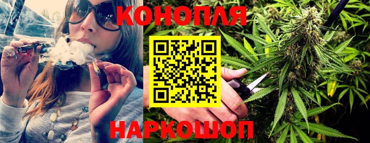 Псилоцибиновые грибы Богданович
